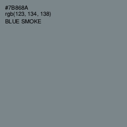 #7B868A - Blue Smoke Color Image